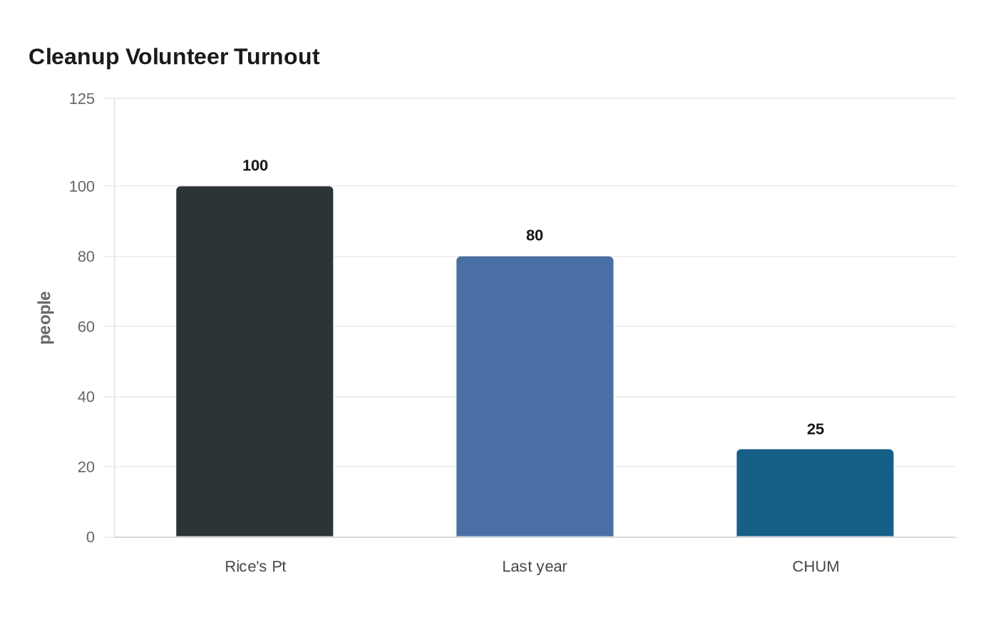 Cleanup Volunteer Turnout