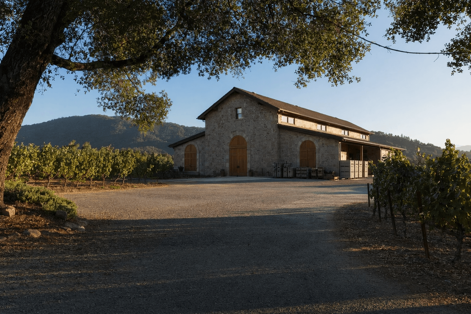 Two-Buck Chuck winery heads to auction at steep discount in Napa