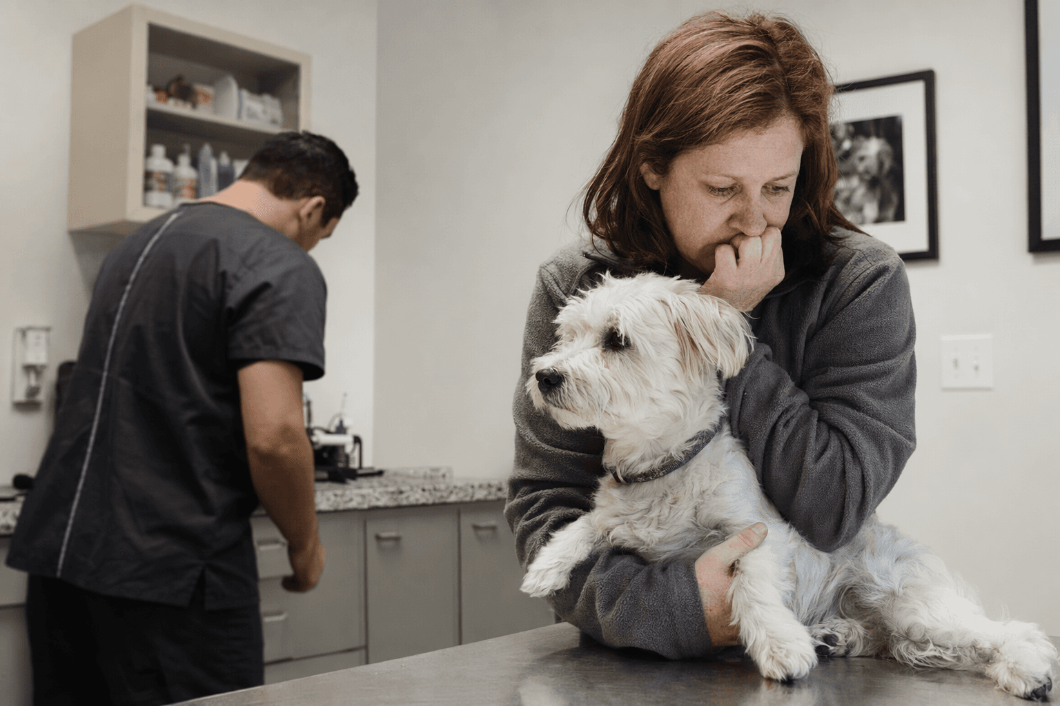 Rising vet bills leave many pet owners skipping needed care