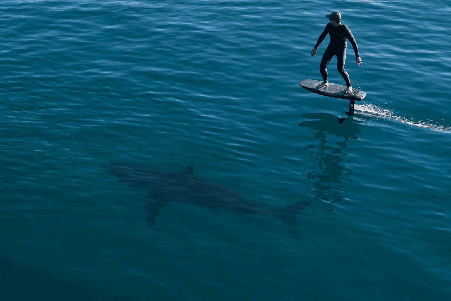 Great White Shadows Downwind Foiler Miles Off Santa Barbara