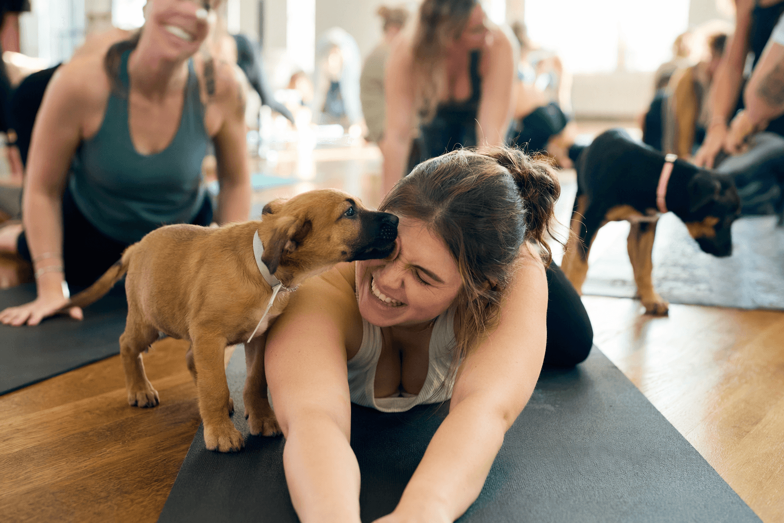 Puppy Yoga Fundraiser in Lodi Sends Proceeds to Fetch Wisconsin Rescue