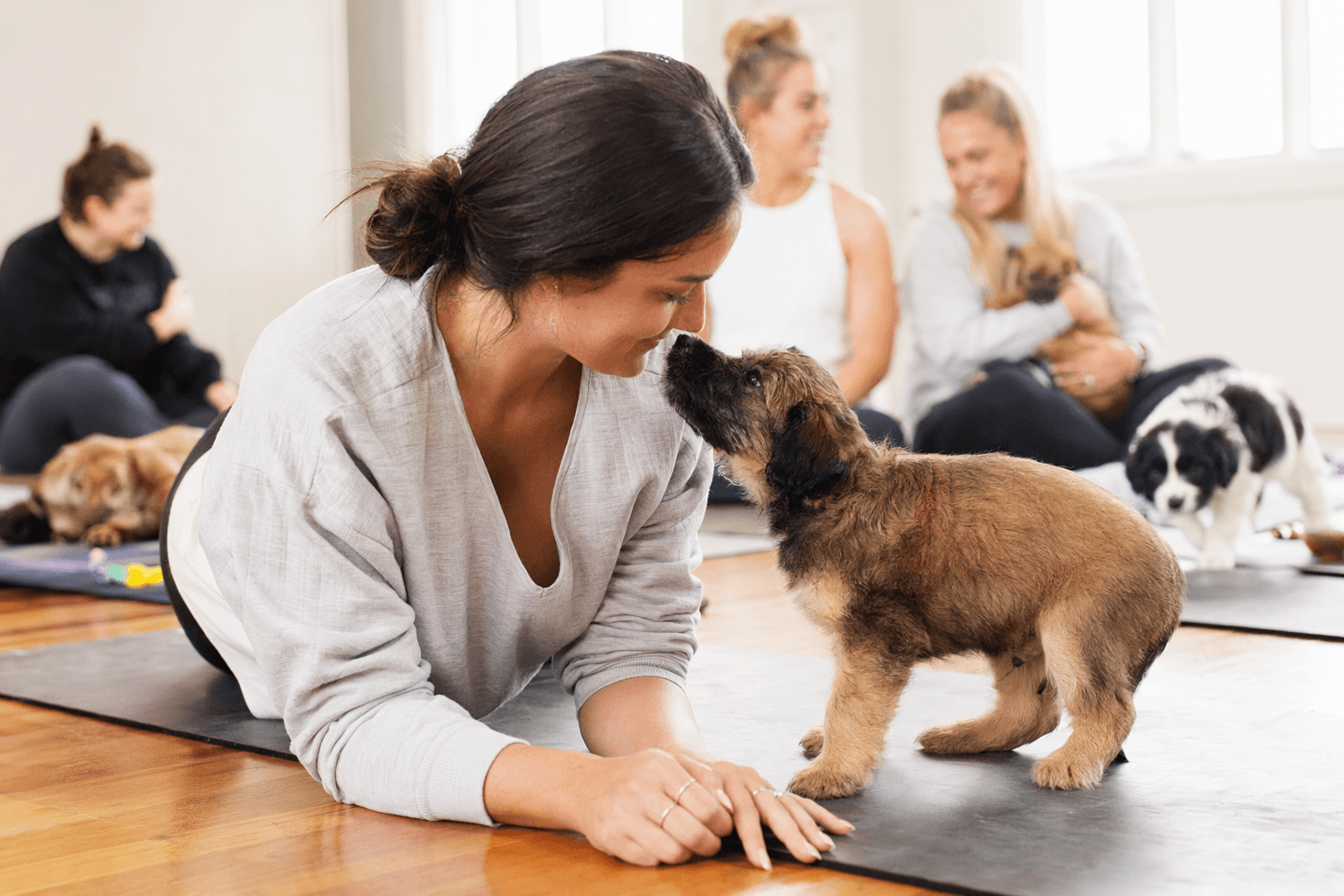 Warrnambool Briards puppy yoga class puts welfare first, invites gentle wellness