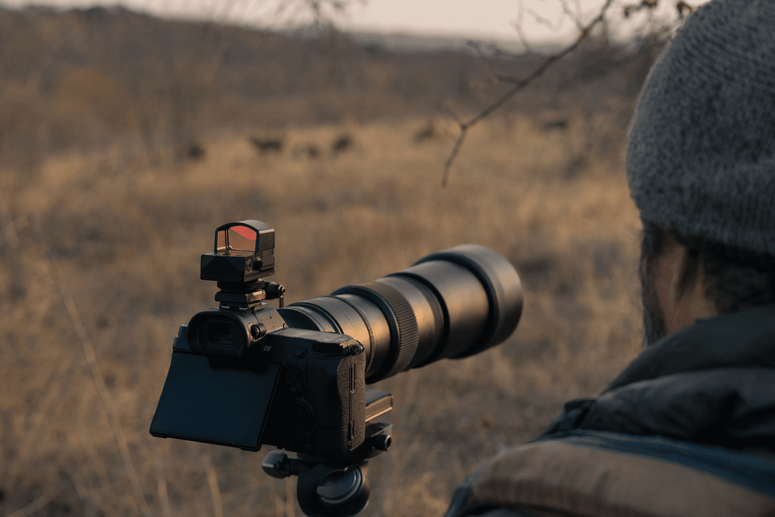 Camera accessory mounts red dot sights for precise wildlife tracking