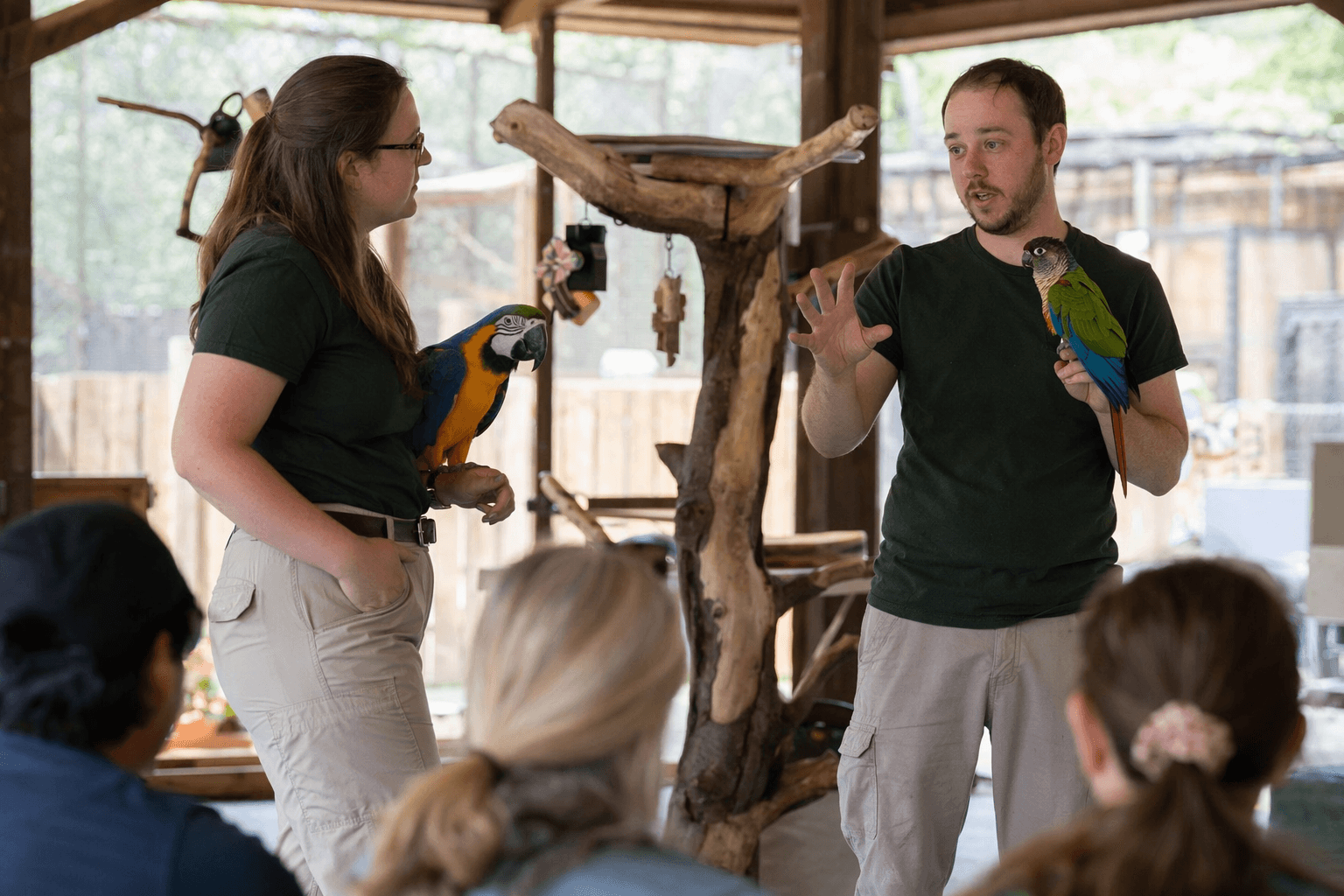 Earth Day event spotlights lifelong parrot care with sanctuary ambassadors