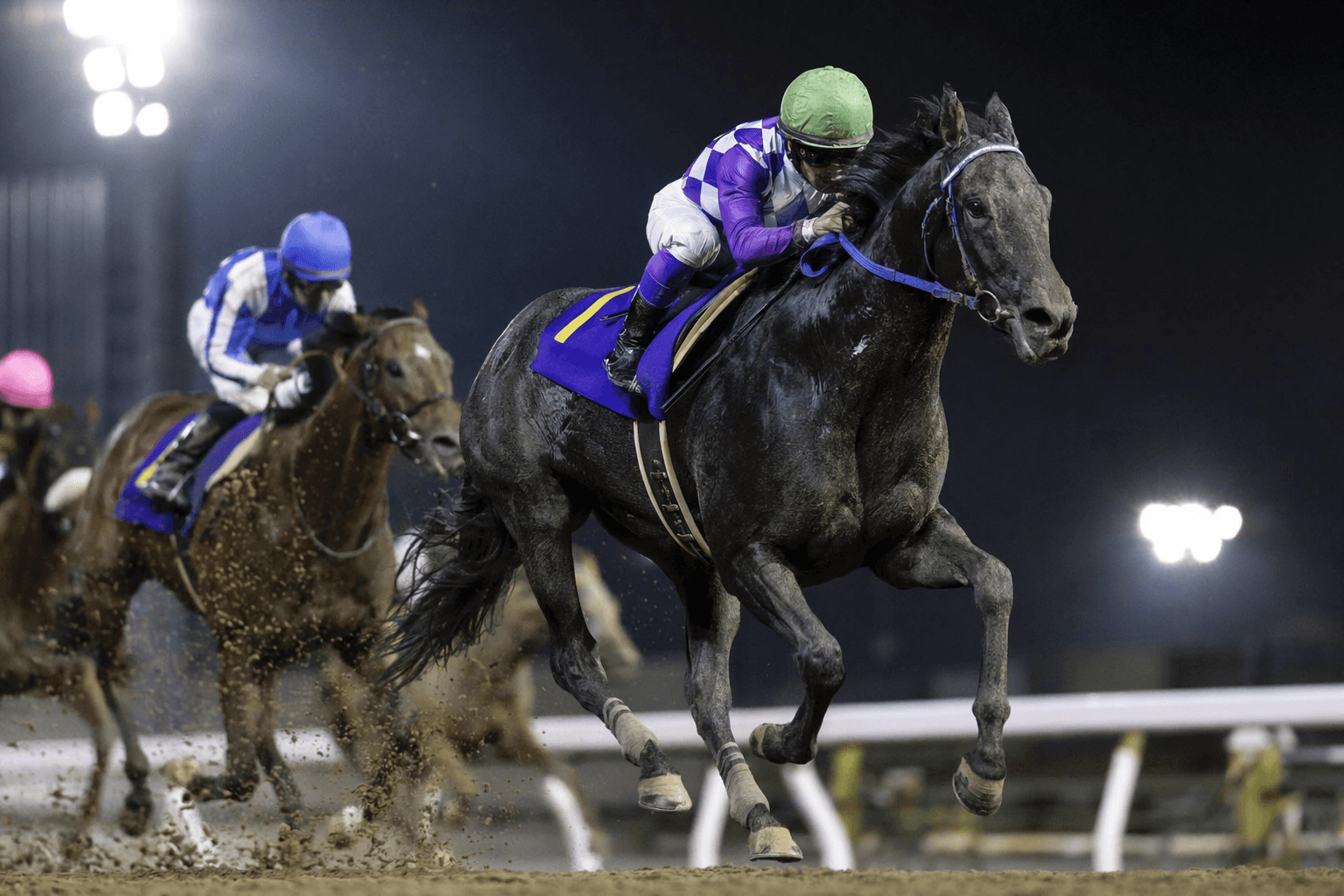 Snappy Dresser stays unbeaten in Tokyo, boosts Union Rags profile