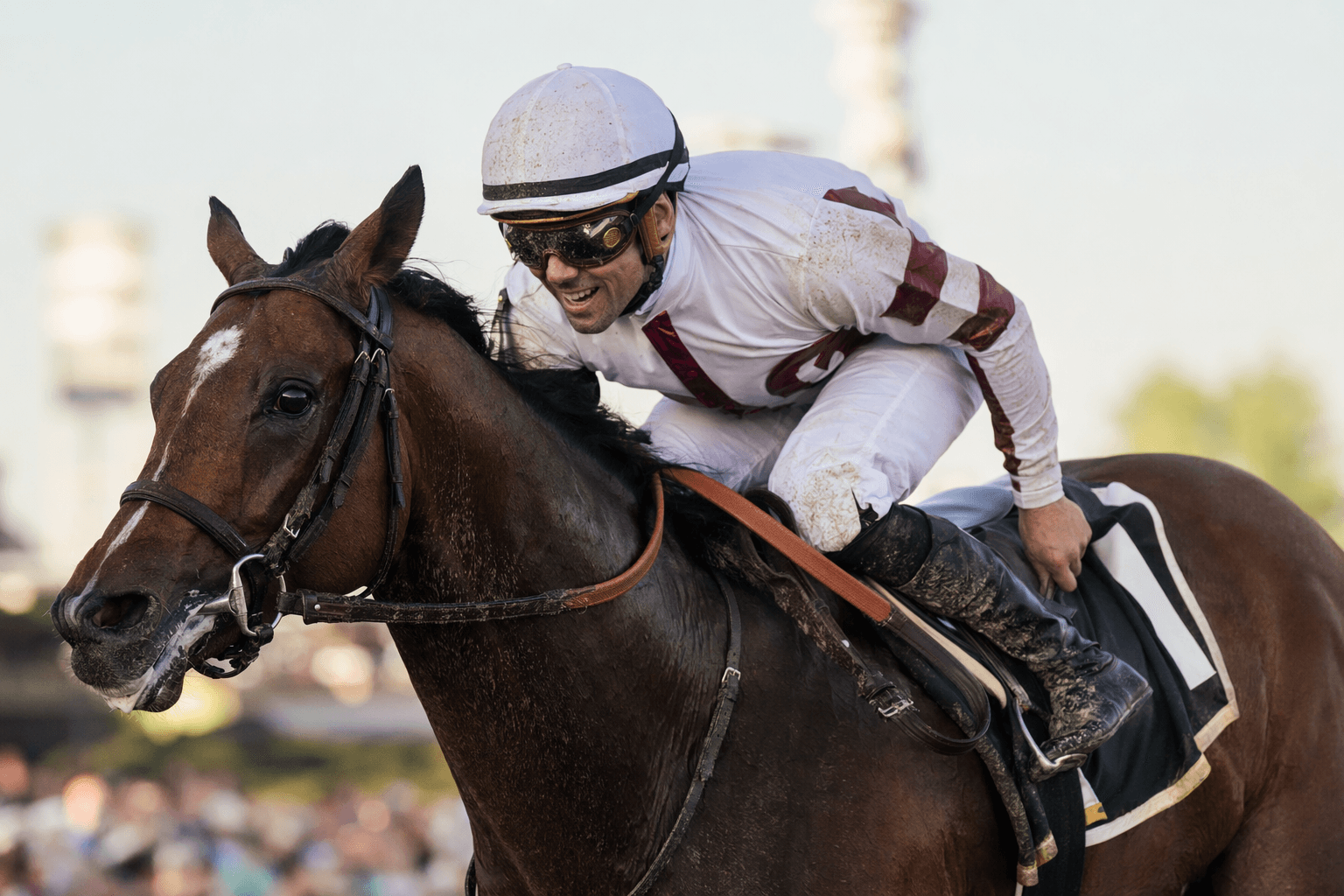 Napoleon Solo targets Preakness Stakes, stays in Triple Crown mix