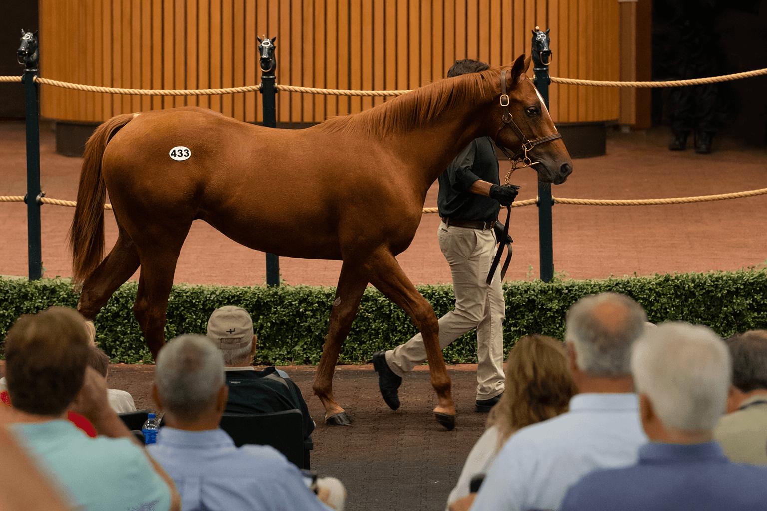 Ocala juvenile sales show broad-based demand, double-digit gains across market depth
