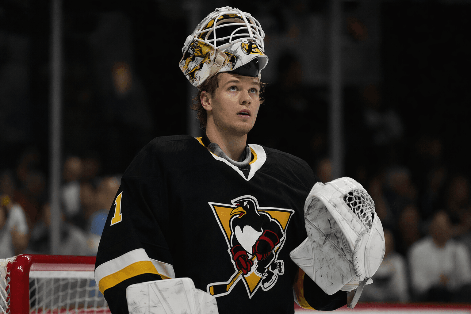 Murashov joins Wilkes-Barre/Scranton for Calder Cup Playoffs run