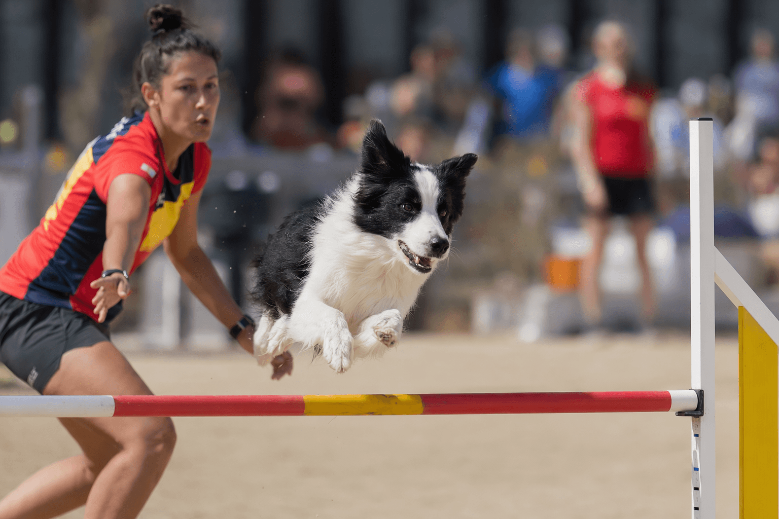 Record 2026 World Agility Championships Open in Spain with 14 Nations