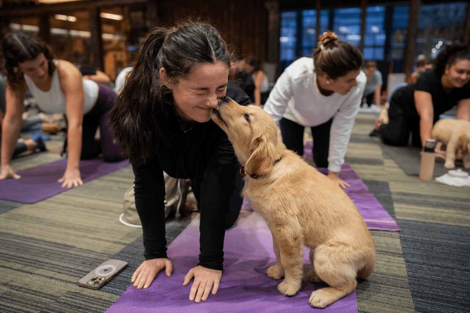 Duquesne Library schedules puppy yoga sessions to ease finals stress