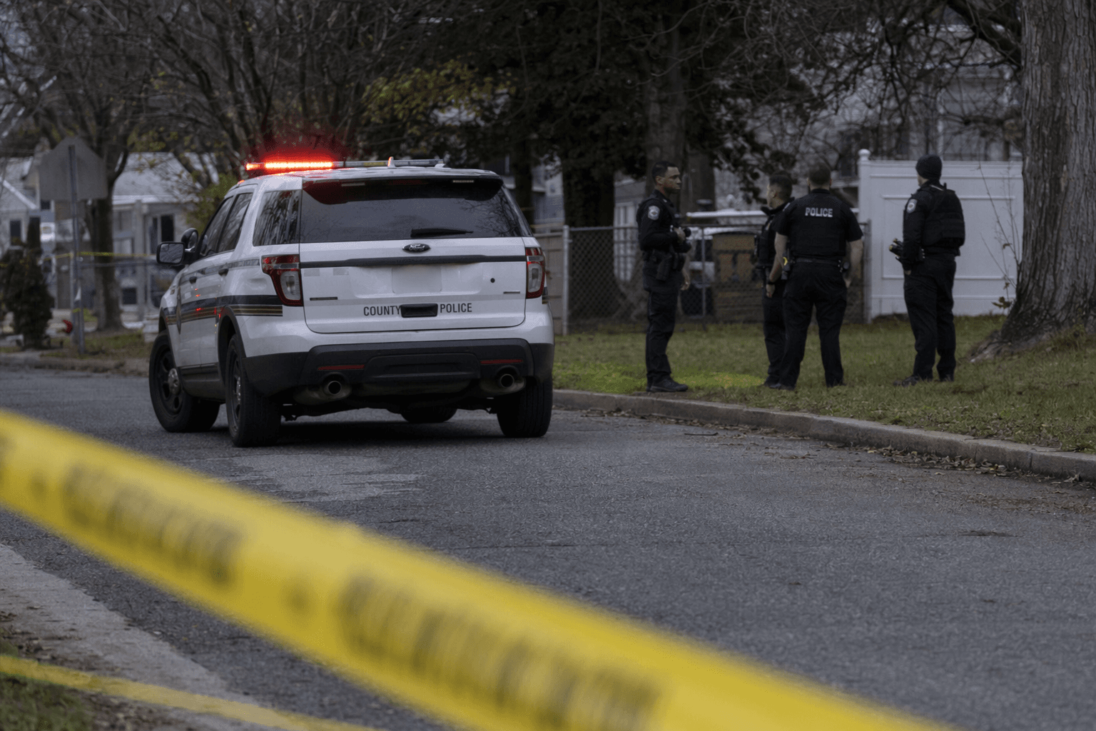 Two women bitten by dogs in Prince George's County, police kill one dog