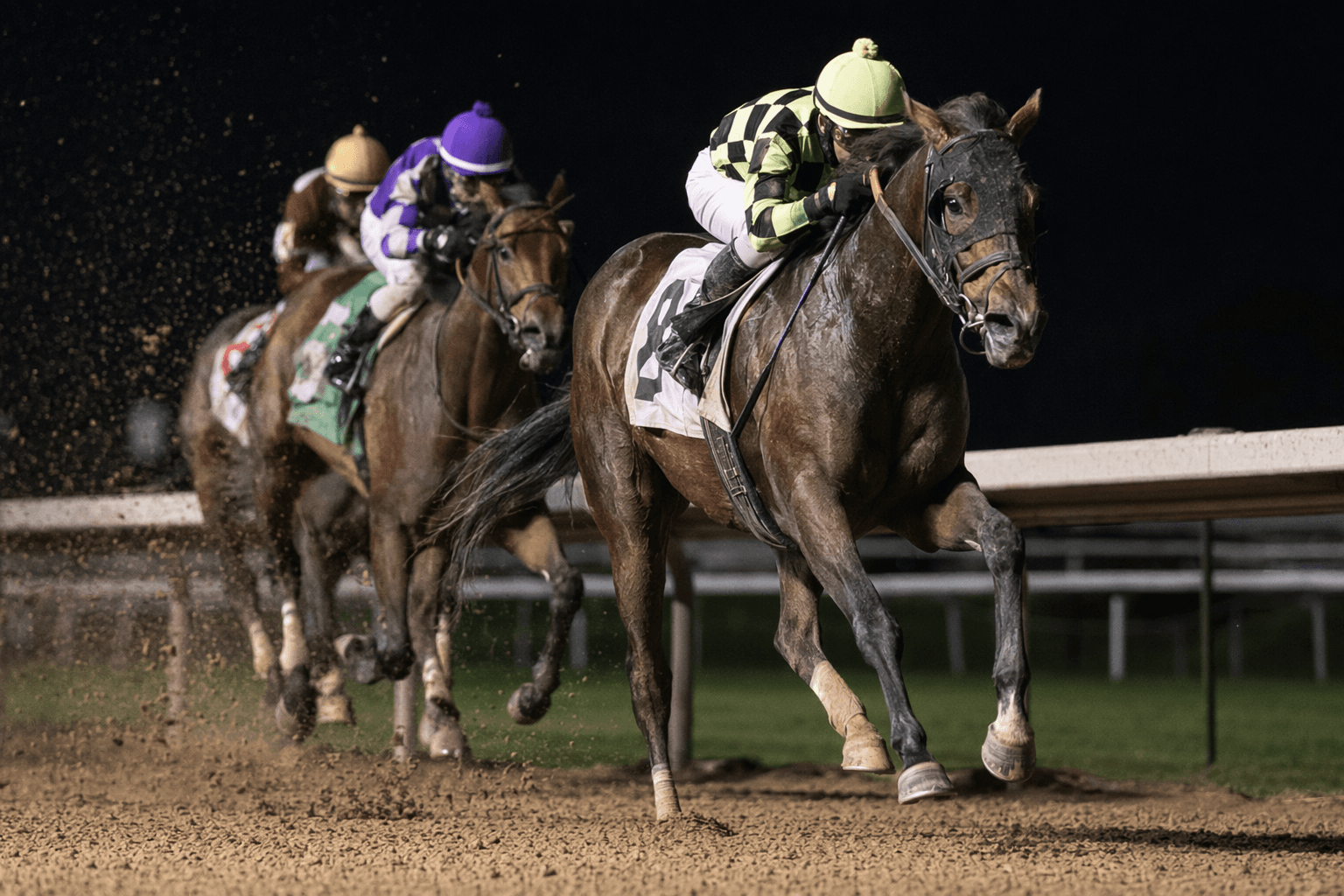 Ninetyprcentmaddie wins Page McKenney Handicap, adds veteran stakes score at Parx
