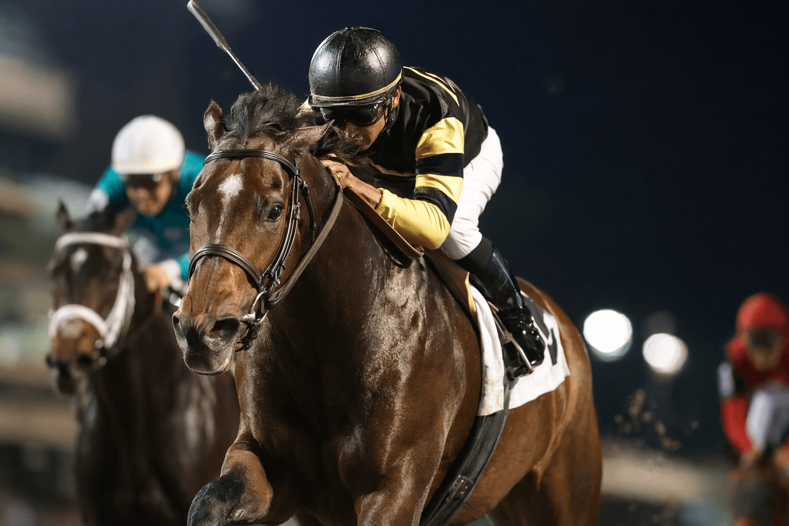My Boy Star wins Gulfstream sprint stakes, signals Florida-bred speed talent