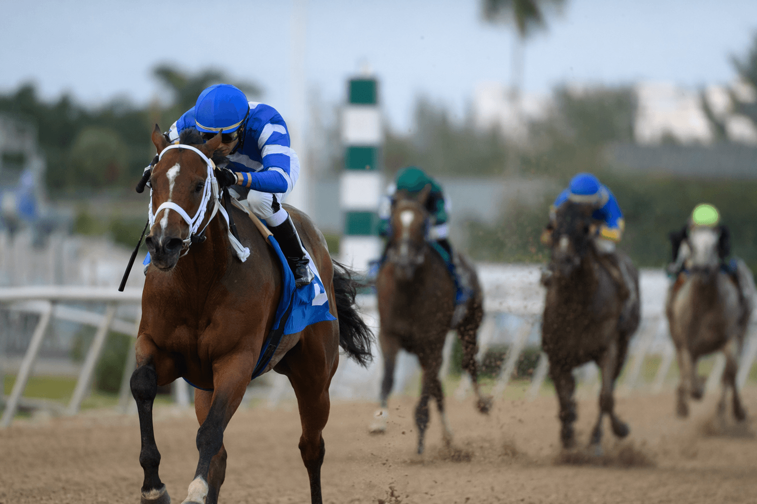 Mythical romps by 5 1/2 lengths in Gulfstream fillies sprint stakes