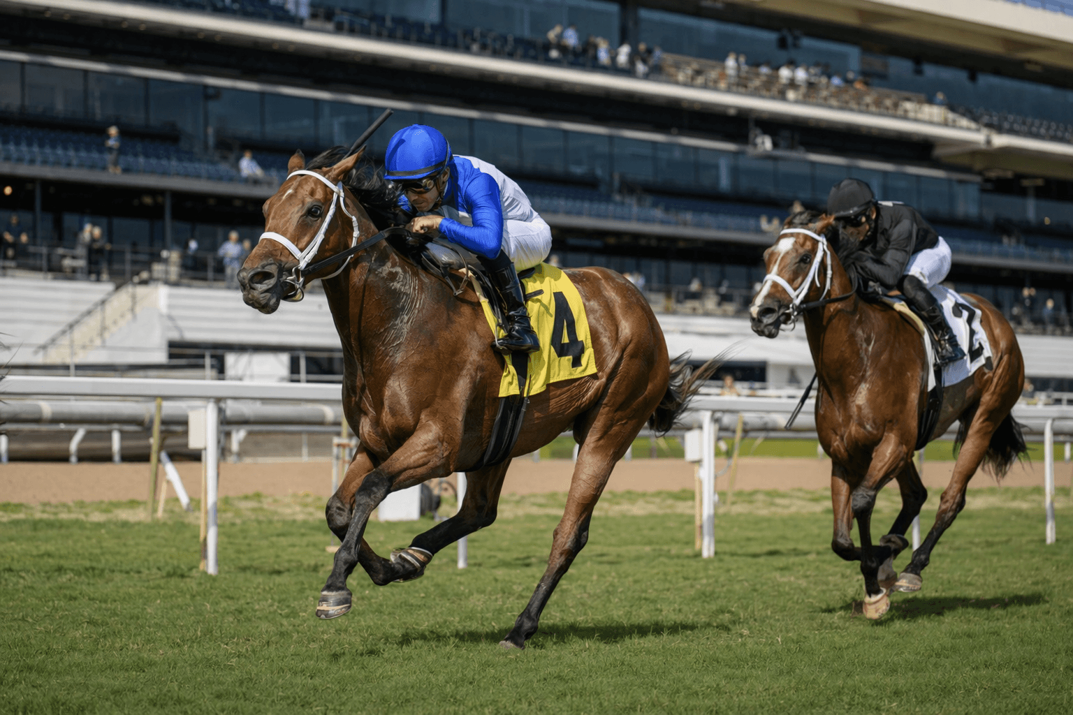 Souper Zonda wins Gulfstream turf stakes, adds black-type success