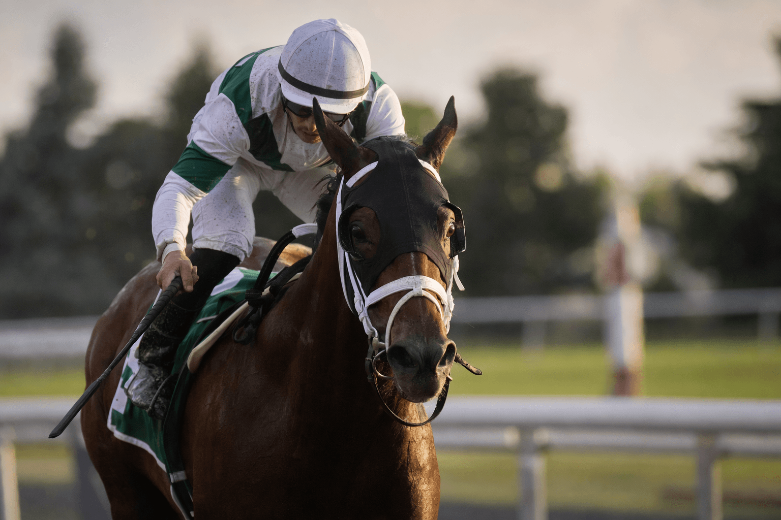Arbiter Dominates Woodstock Stakes at Woodbine in Front-Running Score