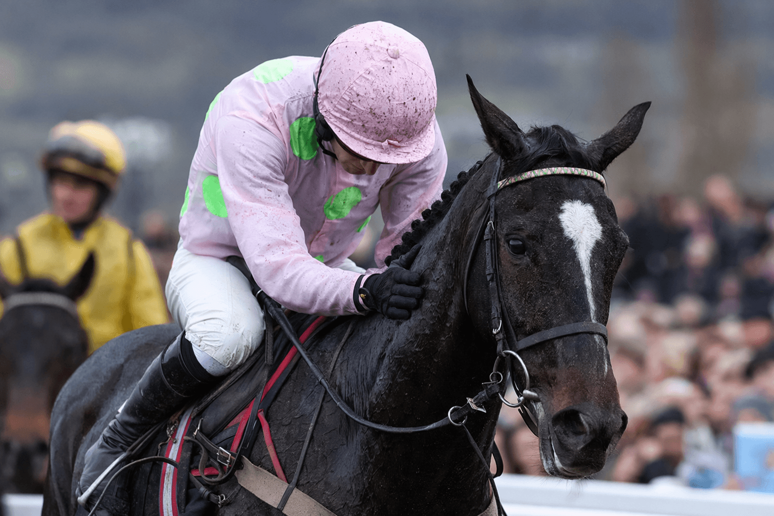 Dual Champion Chase hero Energumene retired after Punchestown third