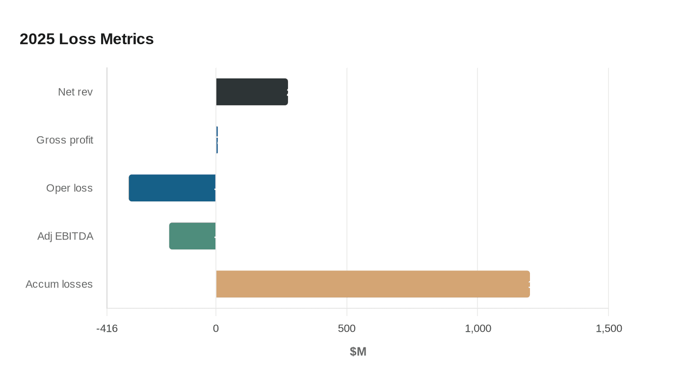 2025 Loss Metrics