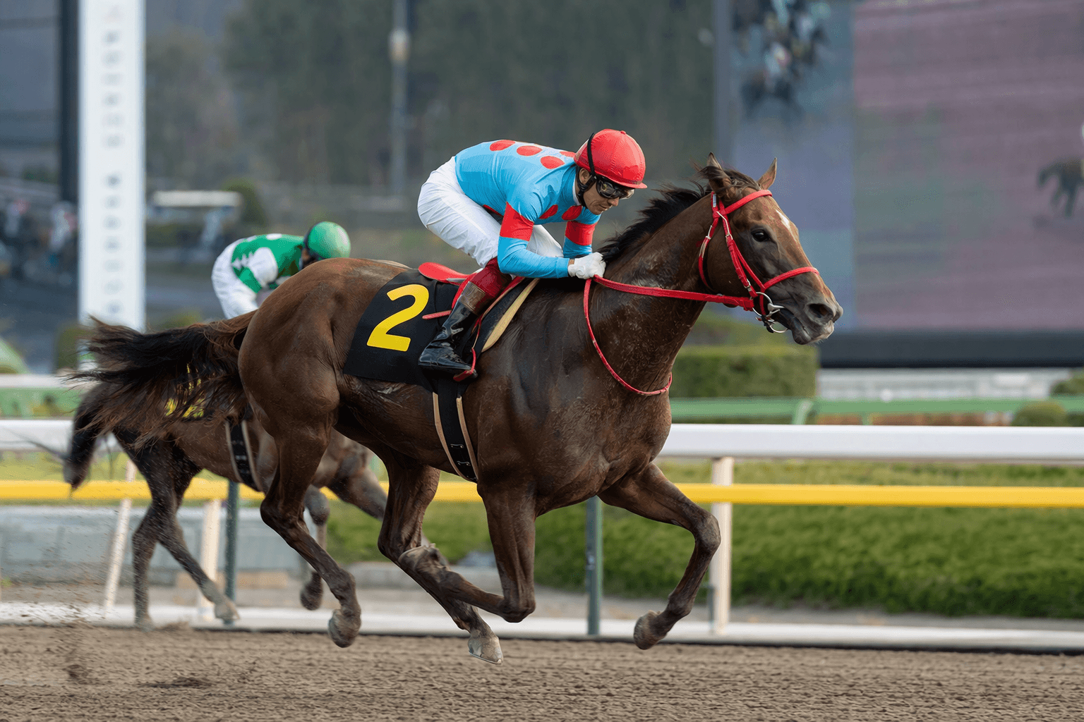 Forever Young headlines international entries for Royal Ascot 2026