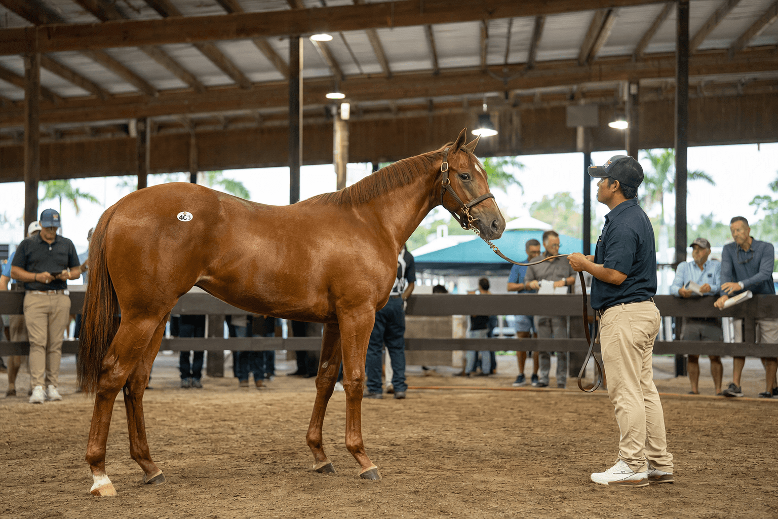 Golden Pal Filly Tops OBSOnline April Second Chance Sale at $50,000