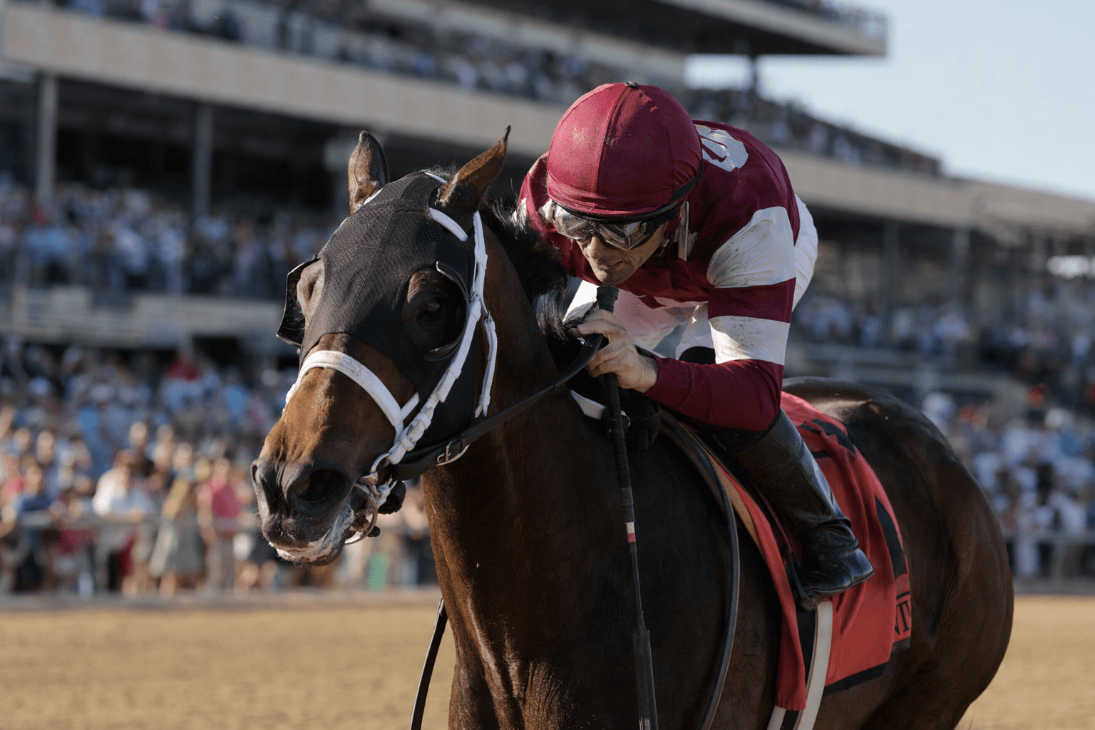 Gezora returns in Modesty Stakes, headlines Churchill Downs turf weekend