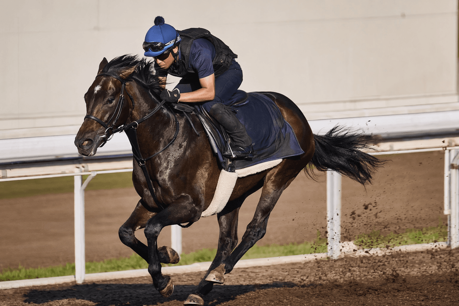 Win Aluette colt sets JRA Breeze-Up sale record at ¥82 million