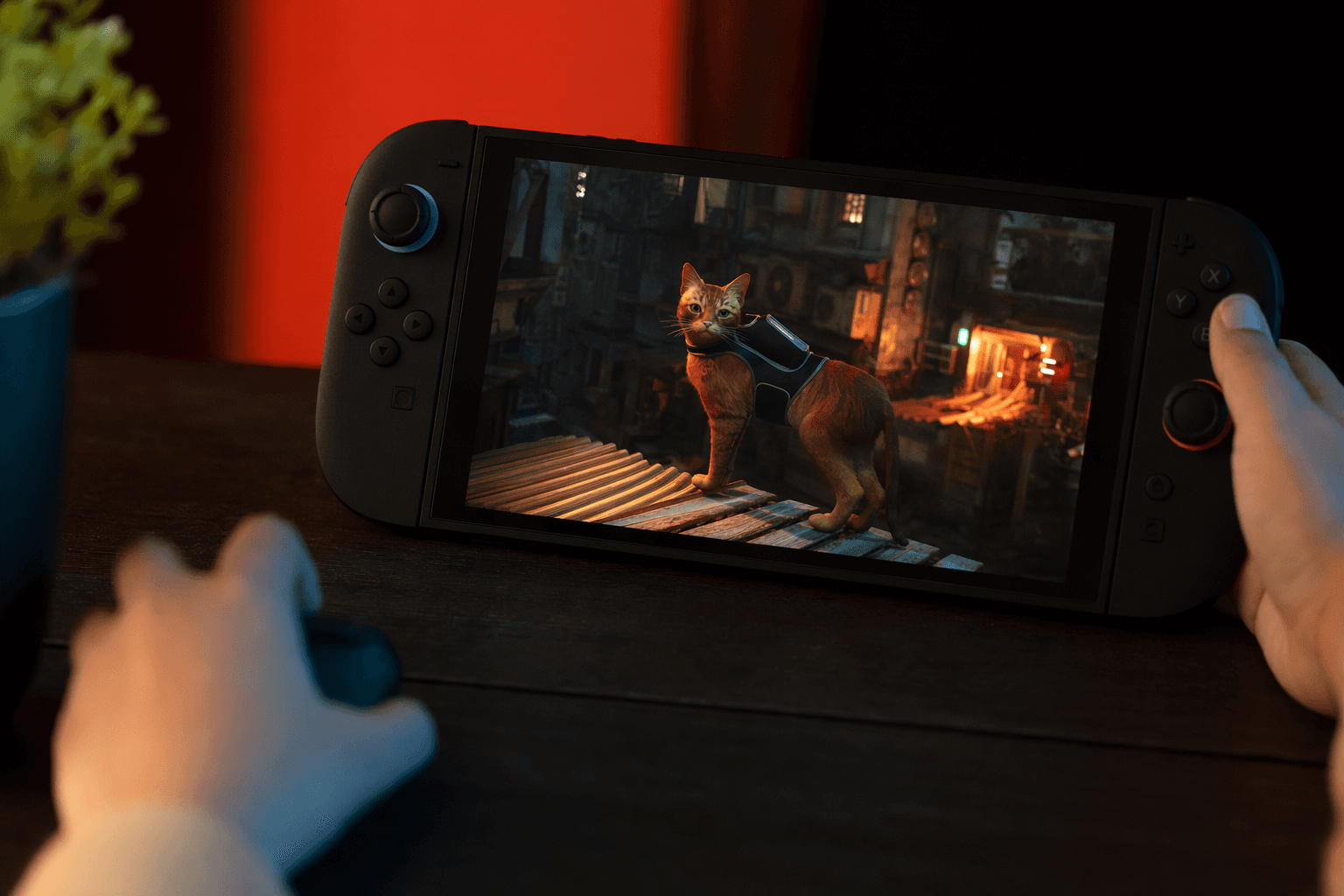 Stray lands on Nintendo Switch 2 May 28 with 4K, mouse support