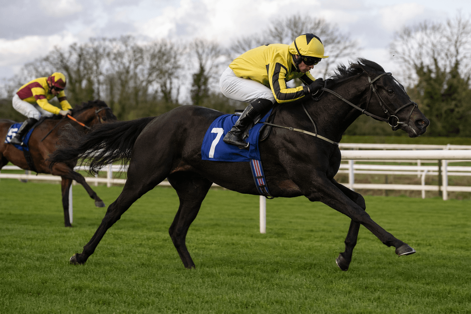 Force Noir gives Persian Force early boost with dazzling Naas win