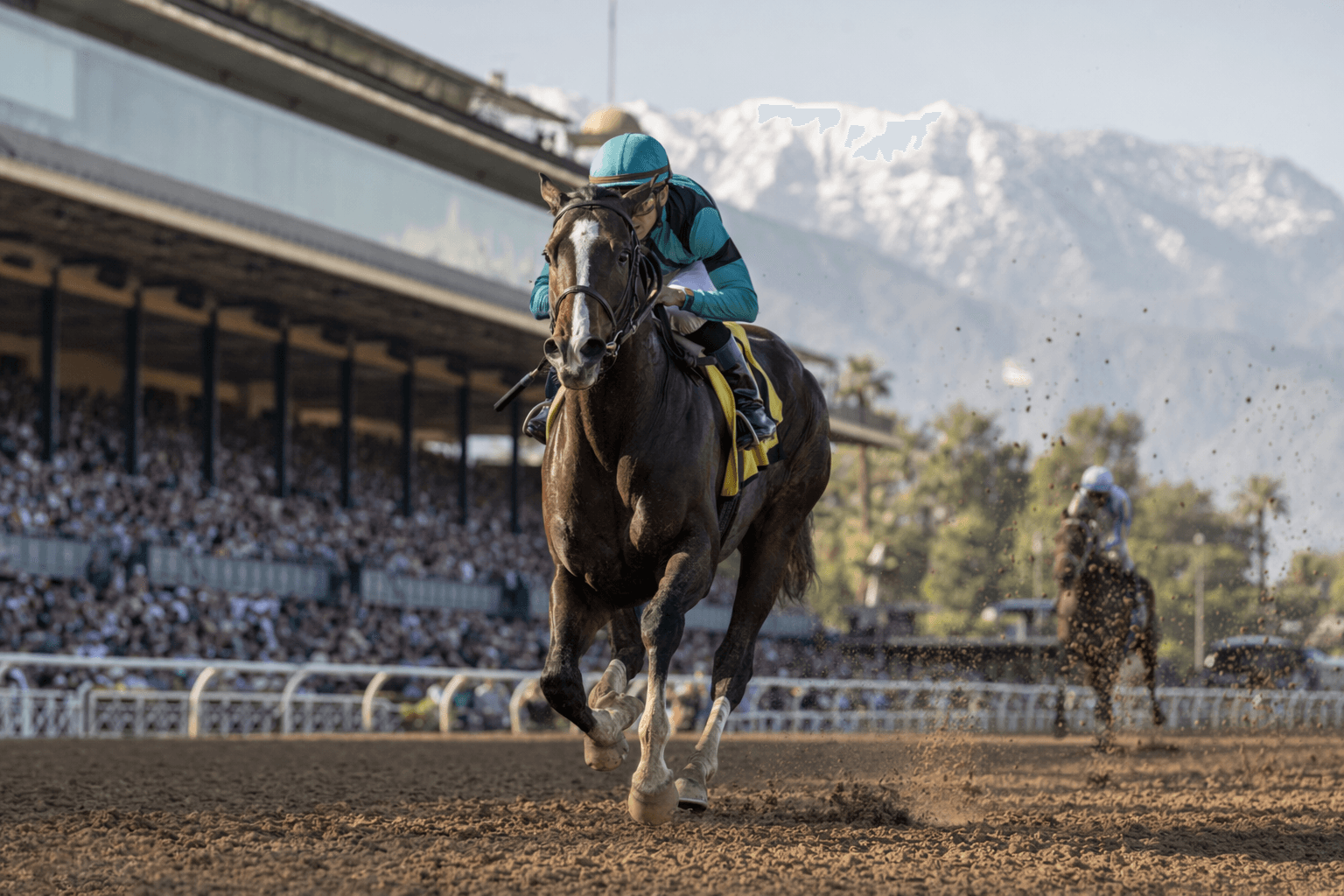 $12,000 Colt So Happy Emerges as Genuine Kentucky Derby Contender