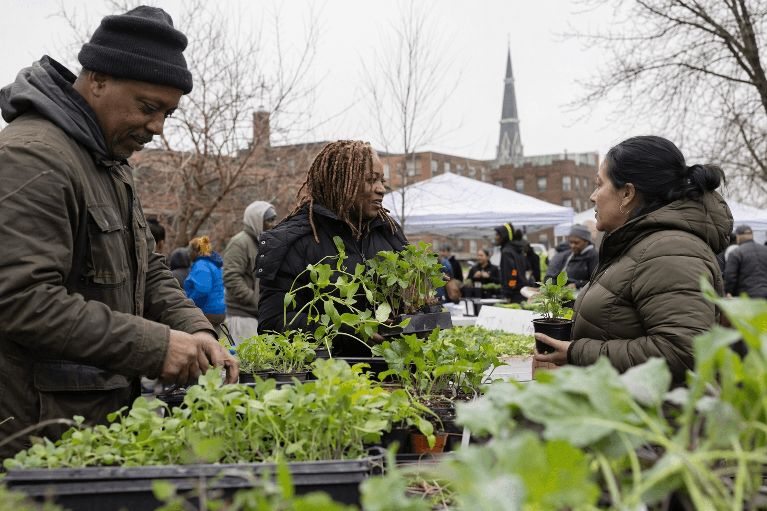 Newburgh Urban Farm Fair returns bigger, with free seedlings and soil testing