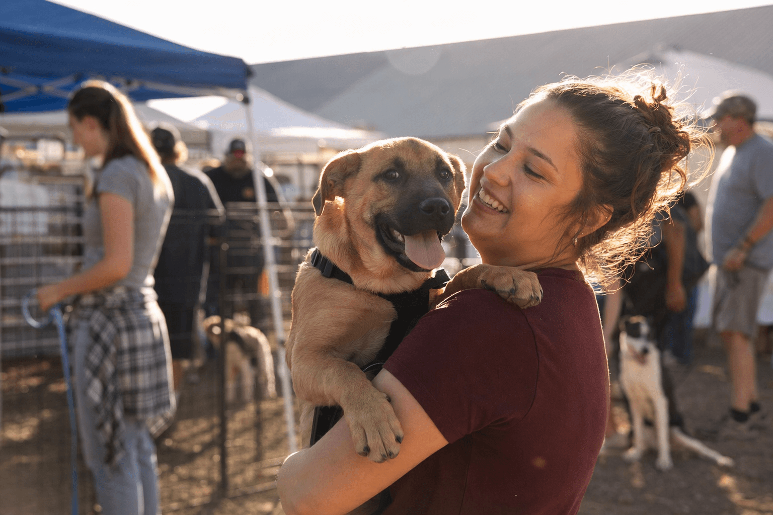 Springerville backs animal rescue expo, approves shared services deal with Eagar