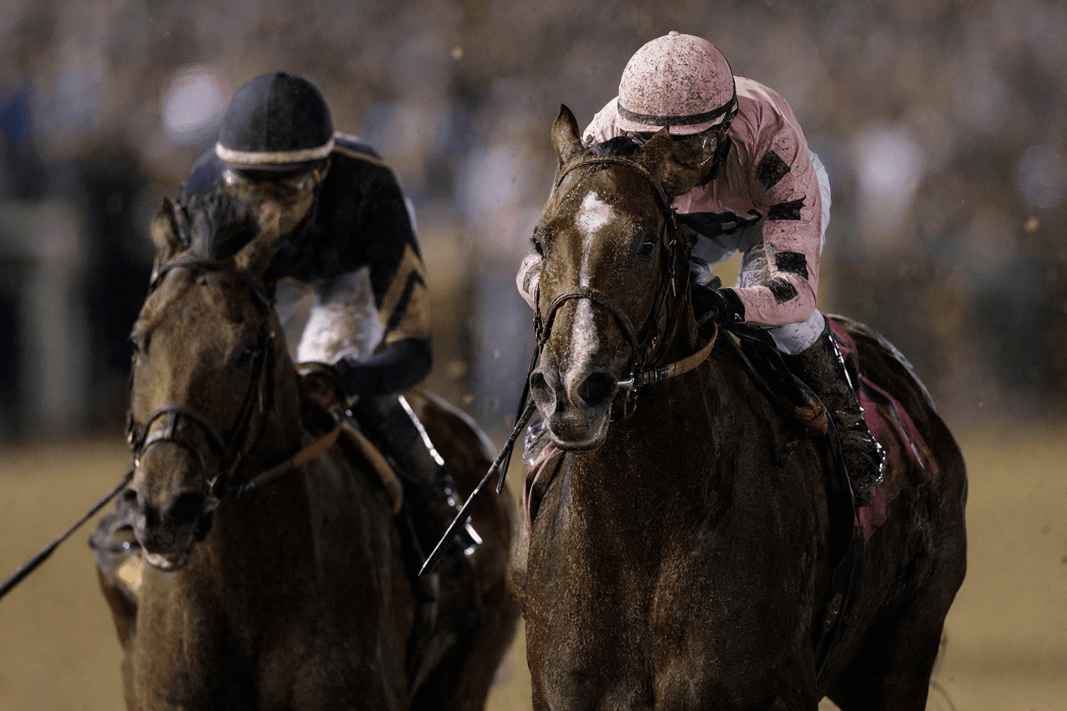 Splendora, Ways and Means headline $1 million Derby City Distaff Stakes