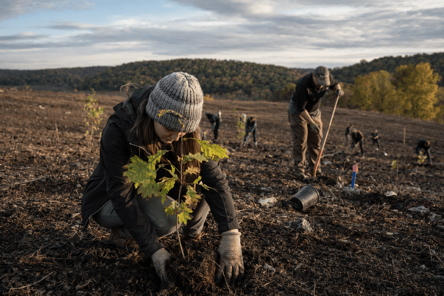 UK, partners plant 2,800 trees on reclaimed Perry County mine site