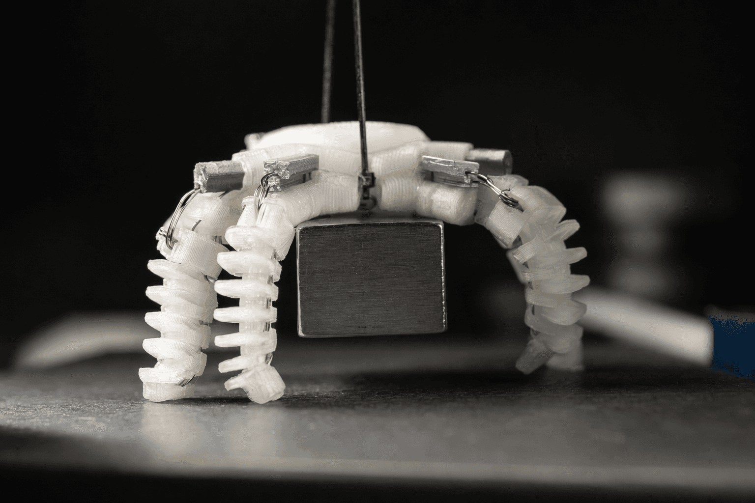 3D Printed Magnetic Actuators Mimic Muscles, Push, Pull, Crawl, Grasp