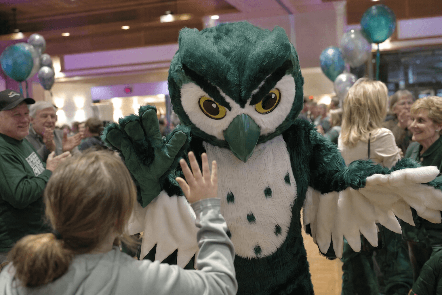 NMC unveils Swoop, official Hawk Owl mascot at 75th anniversary party