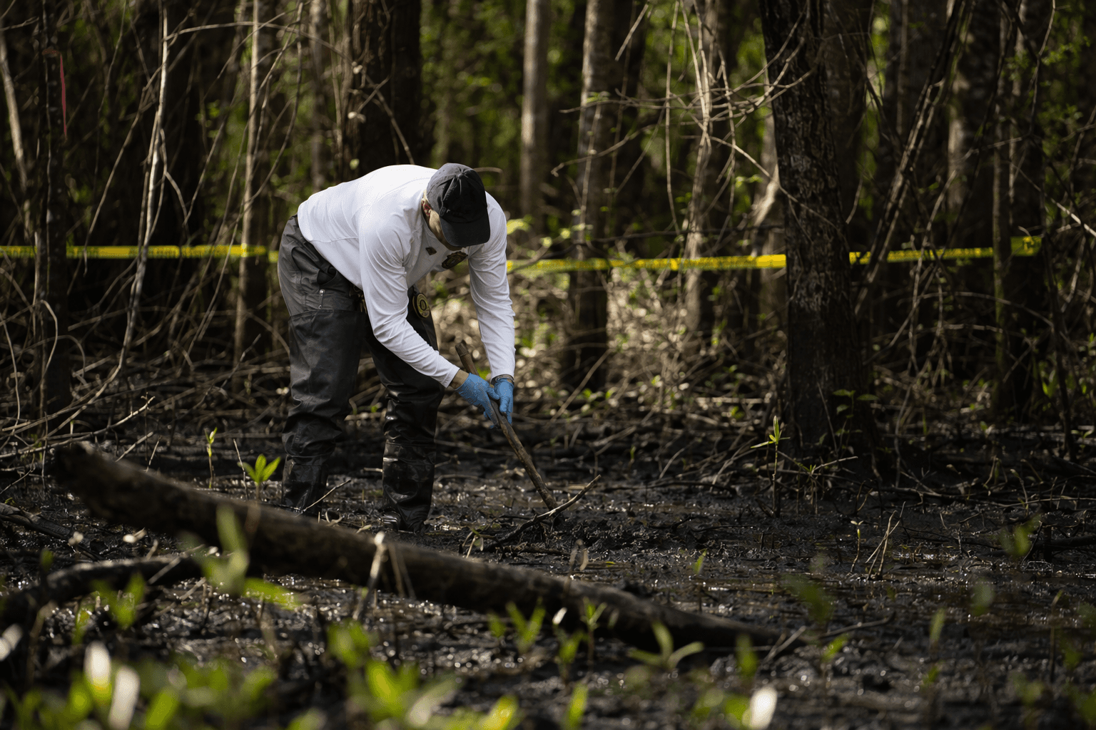 Human remains found in Pinellas County as Tampa Bay murder probe deepens