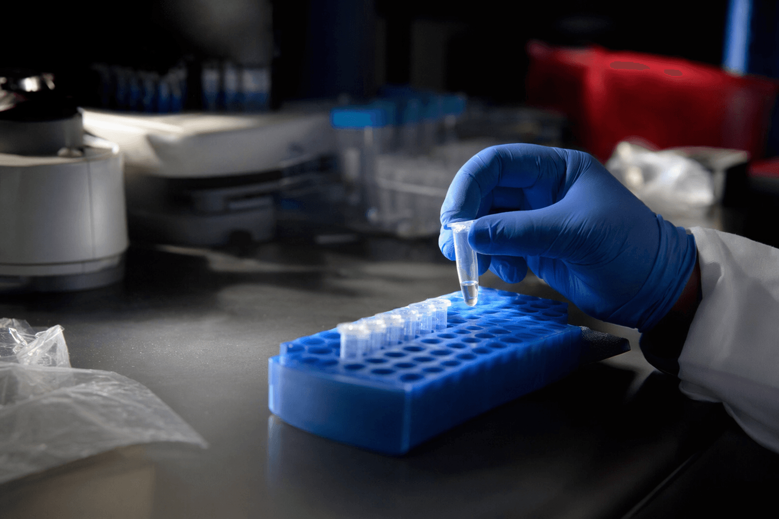 DNA testing may crack 1976 murder of Morgan State student Deborah Scott