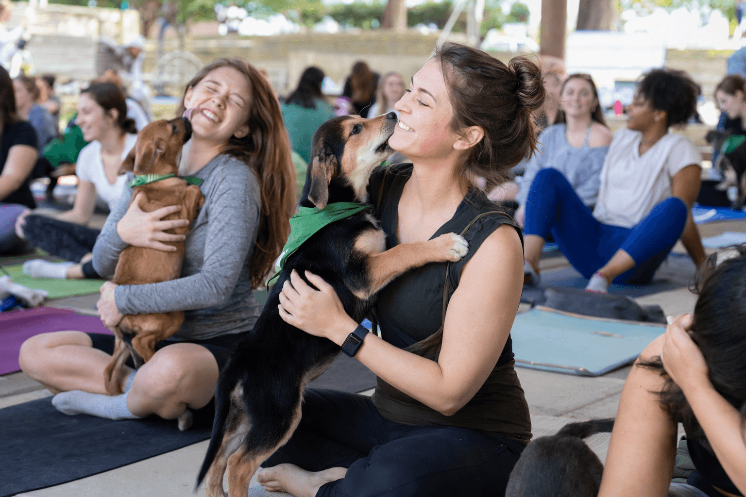 UAB offers free puppy yoga to help students relax and recharge