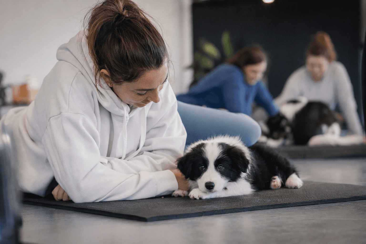 Border Collie Puppy Yoga in Geelong emphasizes calm puppy socialisation