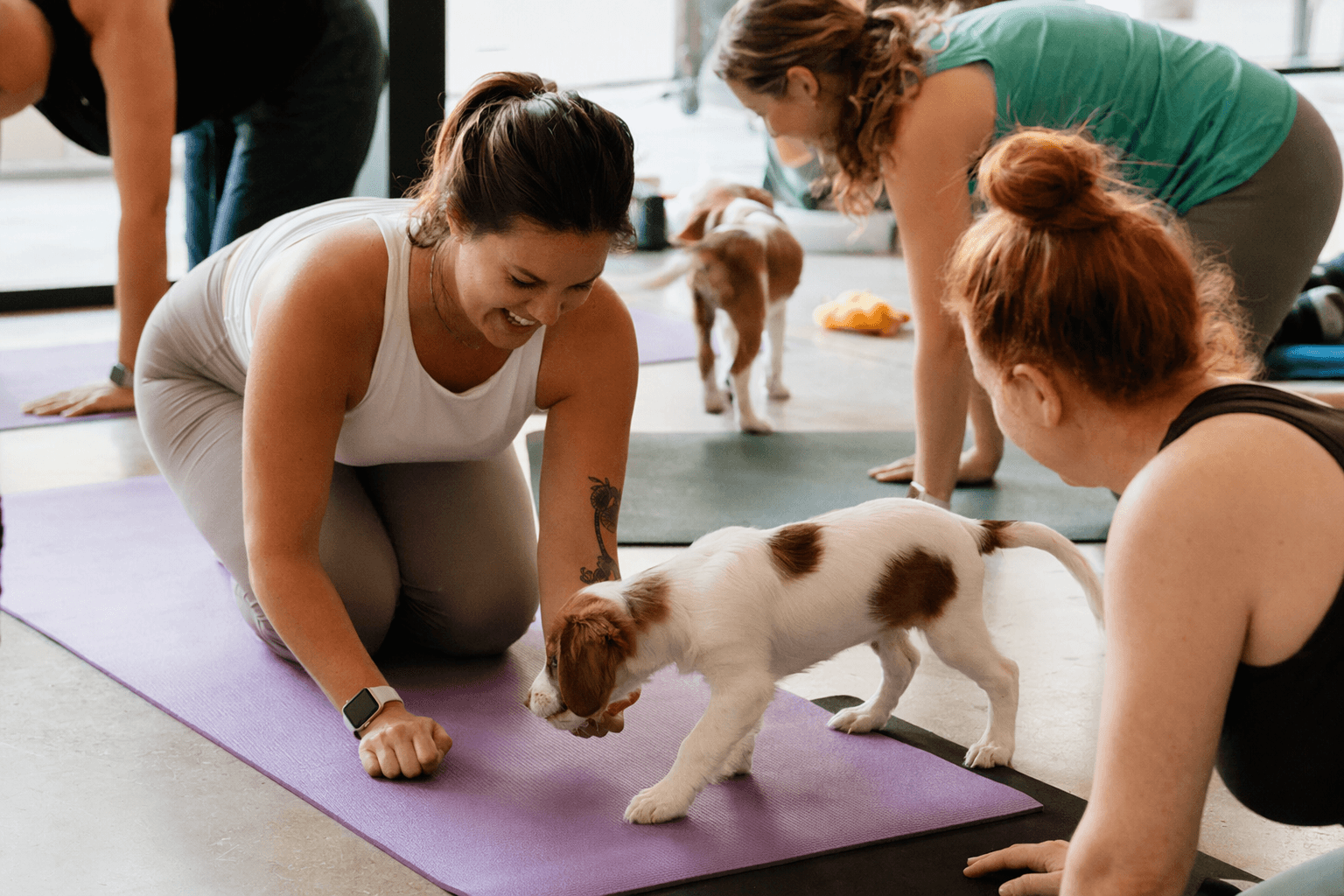 Puppy Yoga and Networking Event Brings Adults Together in Kansas