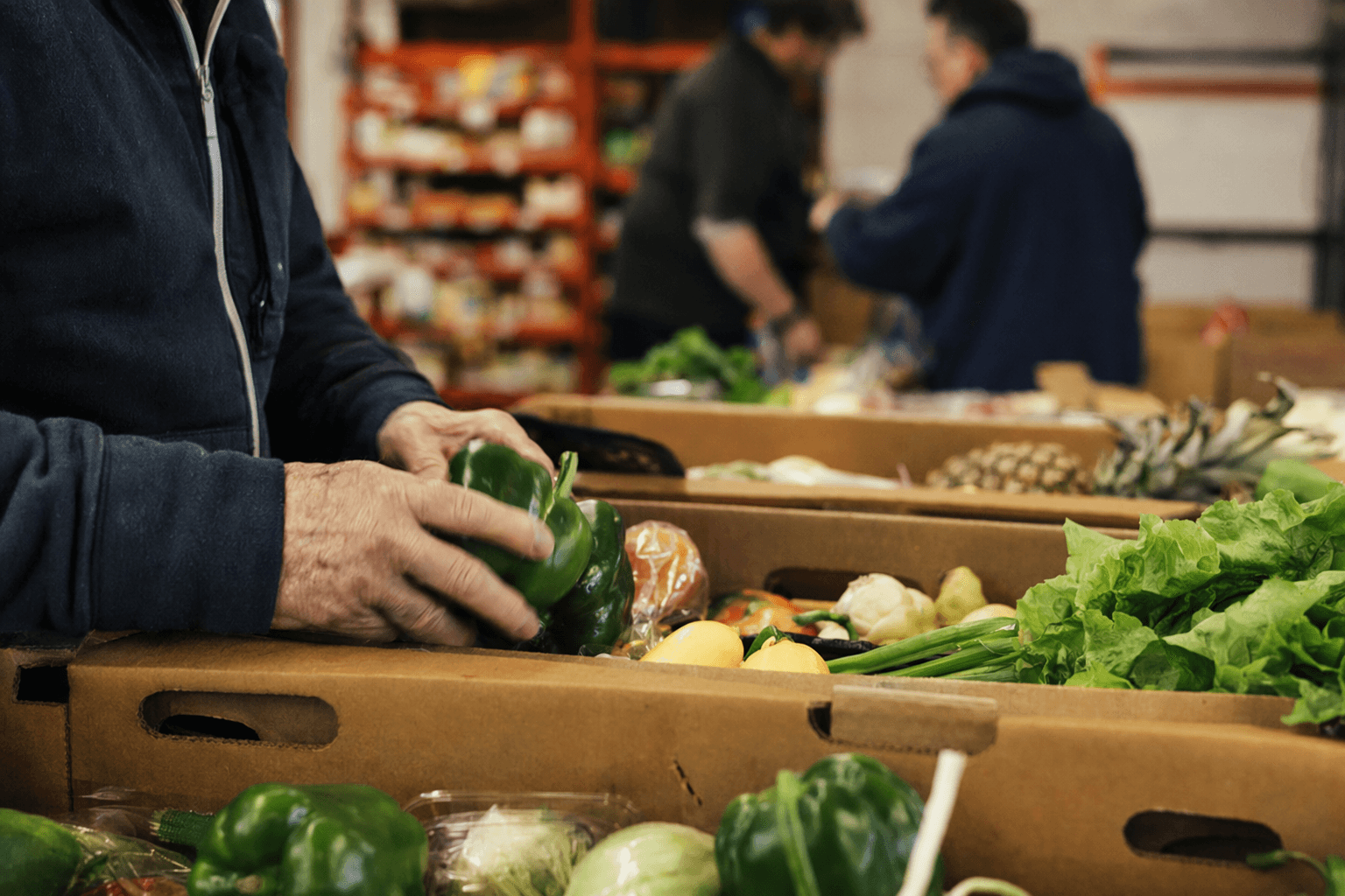 Loaves & Fishes launches $15 million campaign to expand food access