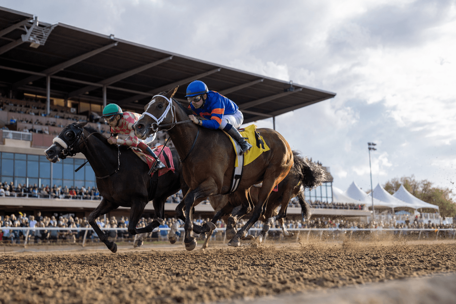 Alberta thoroughbred season opens in Lethbridge, spotlighting community racing