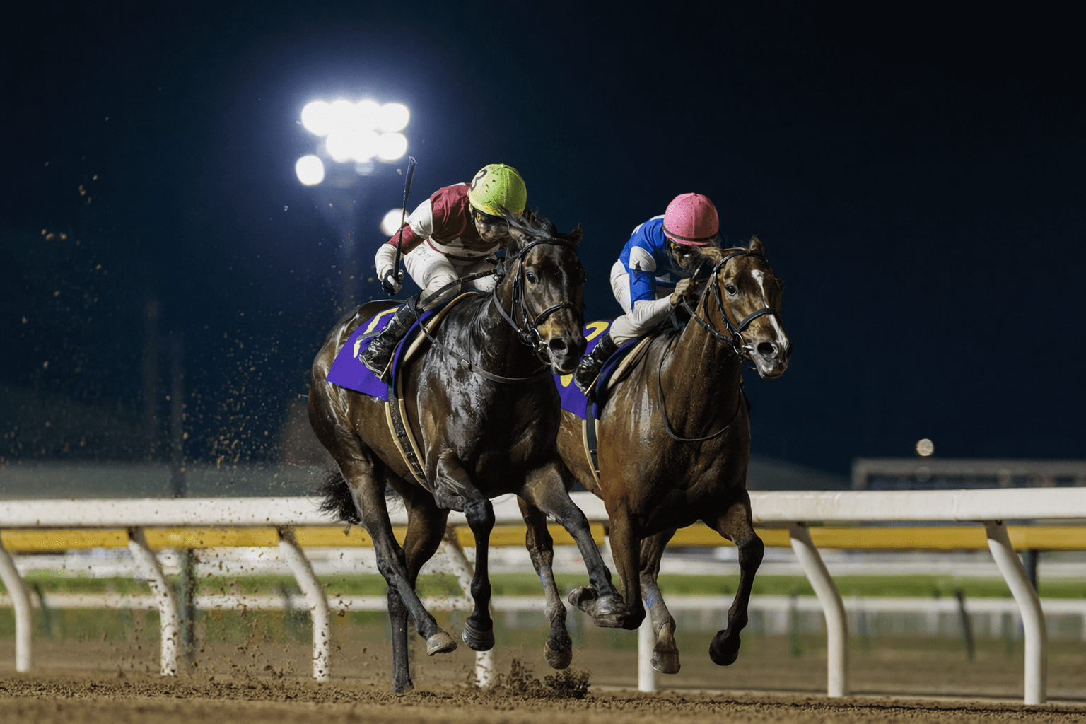 Debutant Hesparis stuns Ooi, wins Tokyo Princess Award in duel