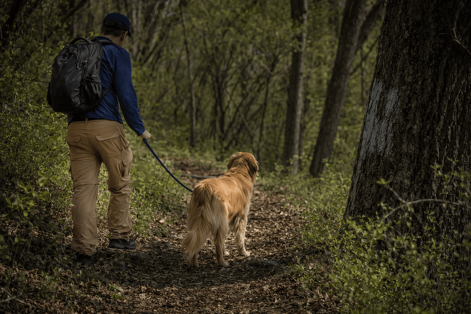 CDC warns of surging tick bites as Lyme season begins