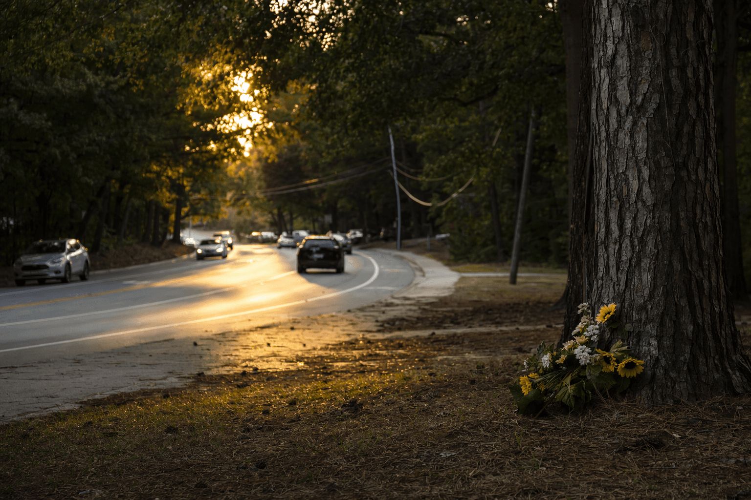 Greensboro police identify body found in Sedgefield area