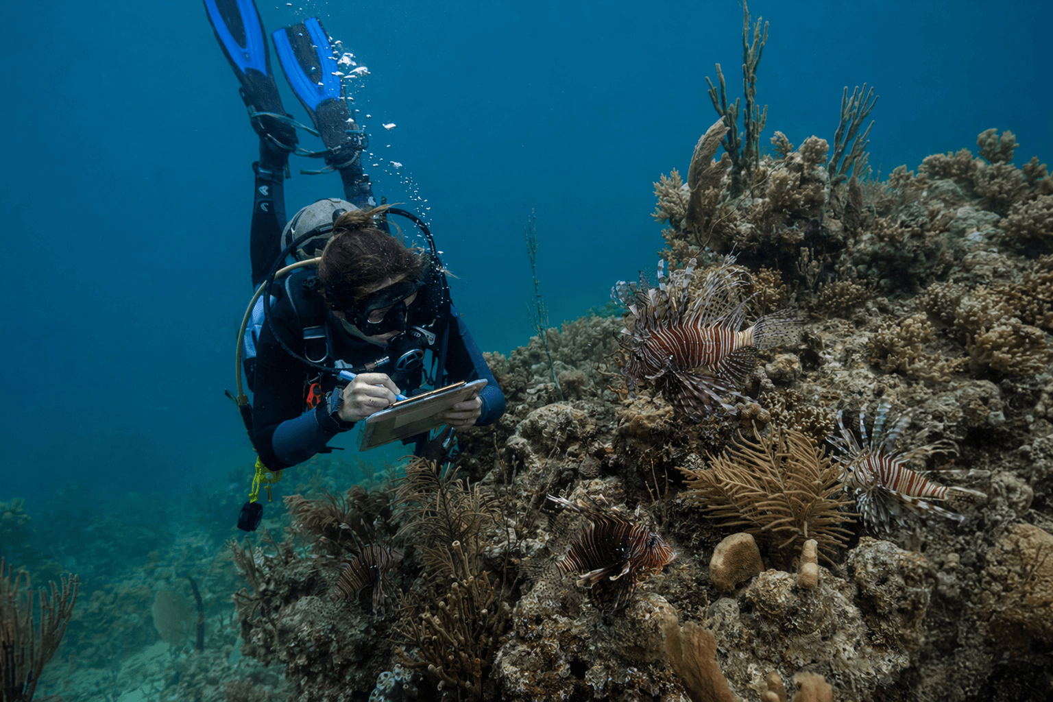 Pennekamp lecture highlights lionfish fight in Florida Keys reefs