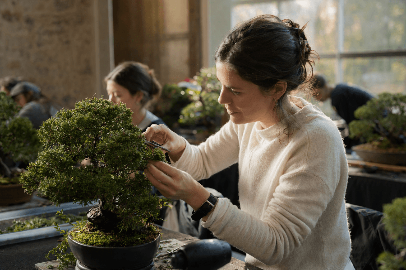Bonsai Xperience workshop blends wellness, hands-on learning at Saiuen