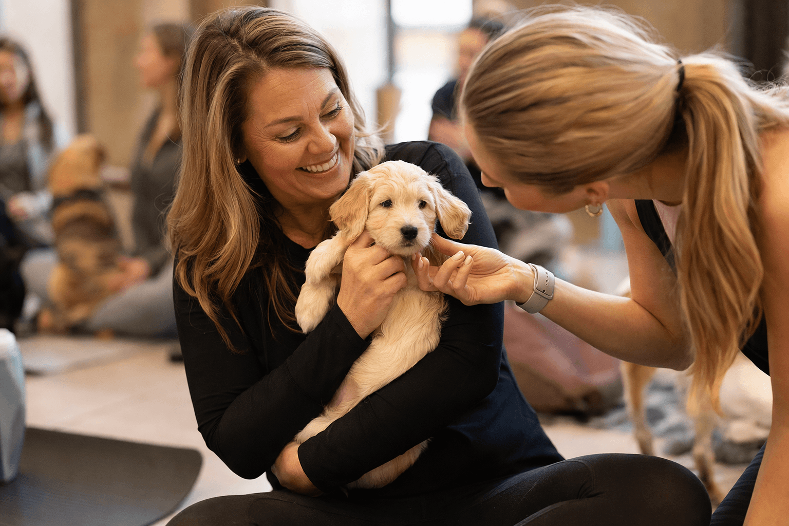Peterborough Mother’s Day puppy yoga brunch offers premium holiday outing