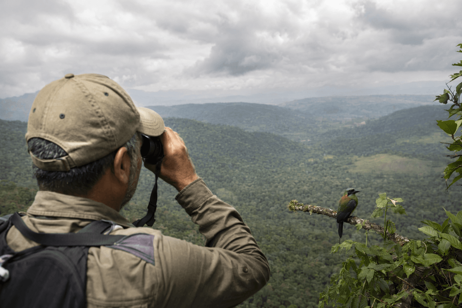 Colombia’s bird paradise draws birders as conflict scars fade