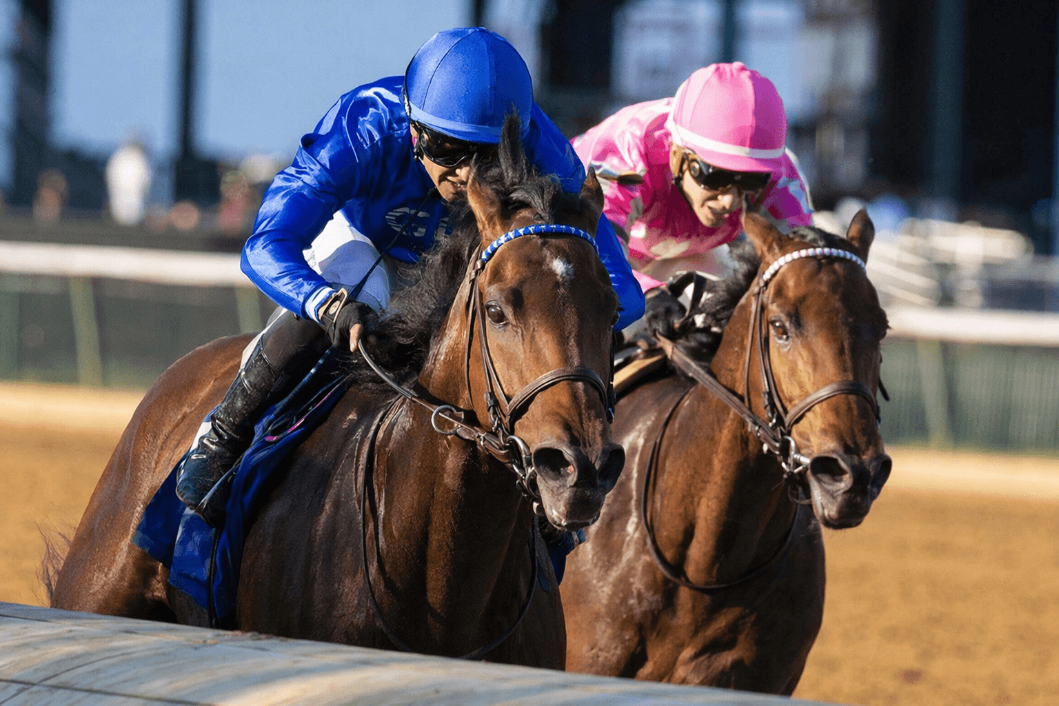 Passerine edges Battis Grove in Churchill Downs maiden duel
